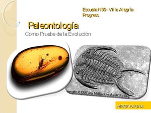 paleontologa-MEGAFAUNA