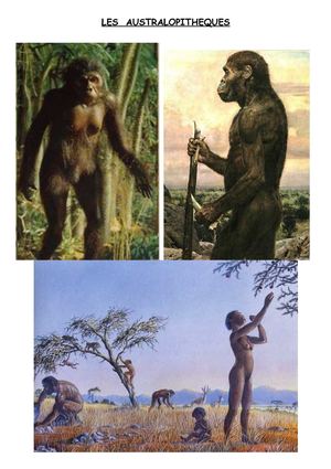 La Préhistoire
