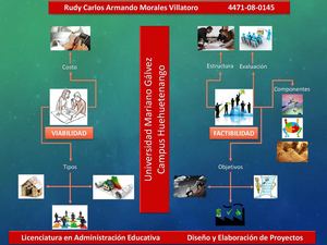 MAPA MENTAL FACTIBILIDAD Y VIABILIDAD
