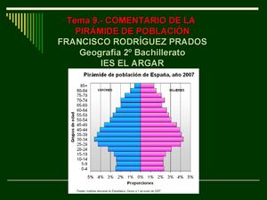 Tema 9 Pirámide De Población