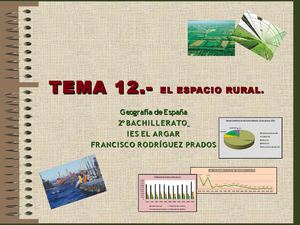 Tema 12 El Espacio Rural