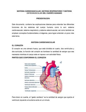 Sistemas Del Cuerpo Humano
