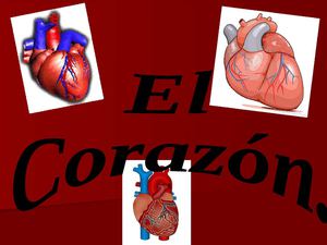 El corazón humano