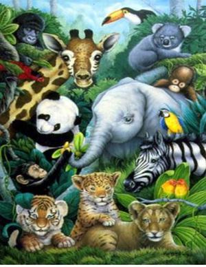 Los Animales Y Sus Sonidos