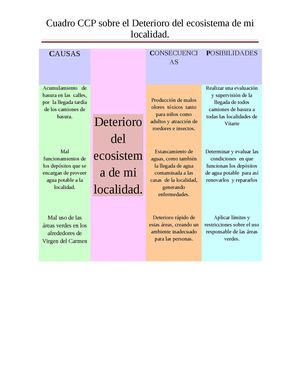 El Deterioro del Ecosistema de mi Localidad