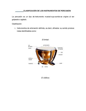 Clasificación De Los Instrumentos De Percusión