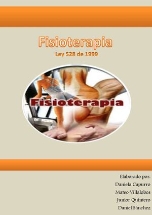 Ley 528 de 1999 FISIOTERAPIA