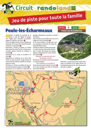 6916001 Poules Les Echarmeaux (2)