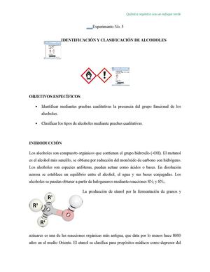 Experimento 5