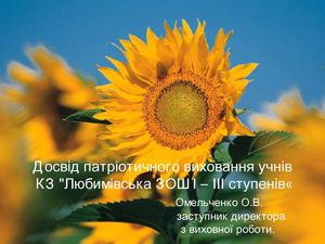 Патріотичне виховання Любимовская ЗОШ