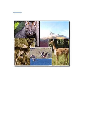 Módulo De Aprendizaje