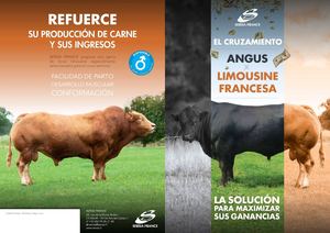 PLAQUETTE LIMOUSIN CROSSING EVOLUTION INTERNATIONAL 2014 ESP