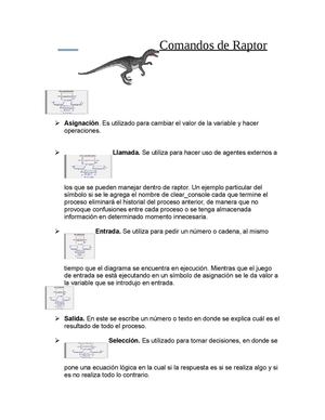 Comandos De Raptor, Java, C#, Netbeans.