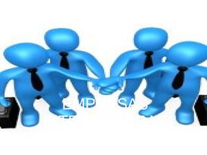 Empresas Integradoras