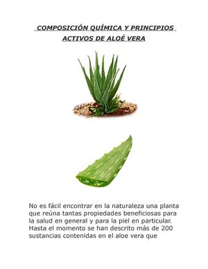 Composiciónquímicayprincipiosactivosdelaloevera