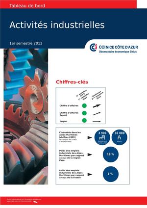 Les activités industrielles des AM - Année 2013
