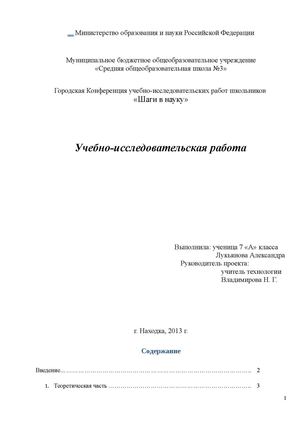 Работа Саши Лукьяновой
