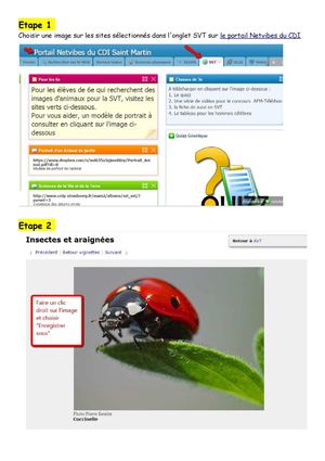 Tutoriel Portrait Svt