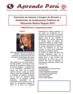 PRACTICA No 01 Comprensión Lectora