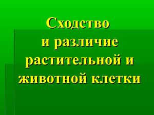 9-10 кл Биология.Сходство и различие между растительной и животной клеткой
