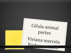 Trabajo De La Celula Animal