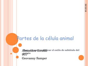 Partes De La Célula Animal