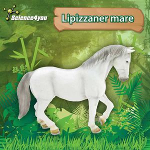 E-Book Lipizzaner Mare