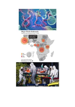 Noticias Sobre Ebola