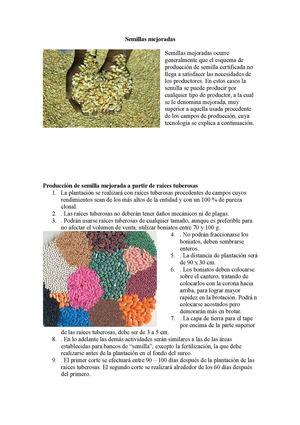 Semillas Mejoradas