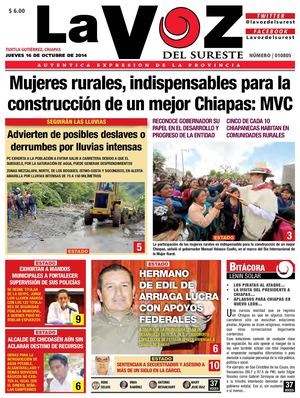 Diario La Voz del Sureste