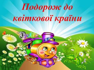 Опис ромашки