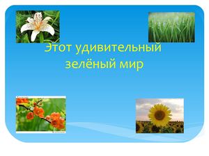 Этот удивительный мир растений