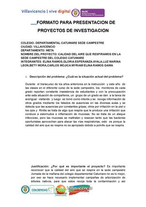 Formato De Presentacion De Proyectos