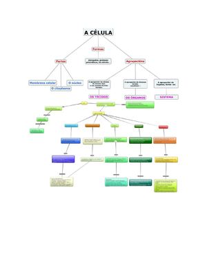 Esquemas De La Celula