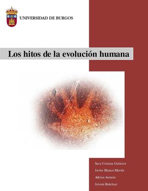 Practica 2 Grupo C2 Hitos De La Evolucion Humano Uni