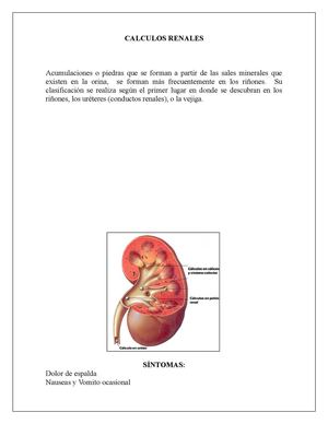 Juliana Zamudio Ma Paula Barceló Cálculos Renales