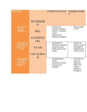 Deterioro del Ecosistema en mi Localidad