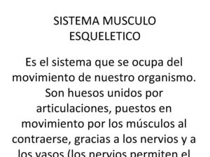 Sistema Musculo Esqueletico