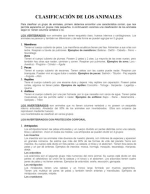 Clasificación De Los Animales