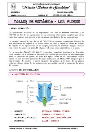 Taller De Botánica Las Flores