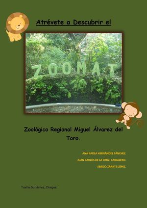 Revista Zoomat Equipo
