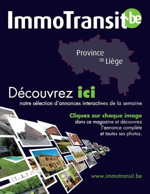 Immo Transit Liege (11)