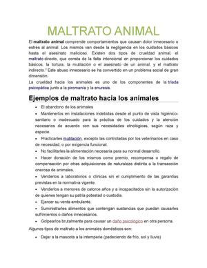 Maltrato Animal