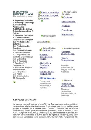 Cultivo Champiñón