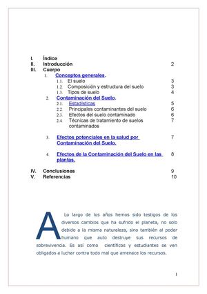 Contaminacion De Sueloo Proyecto