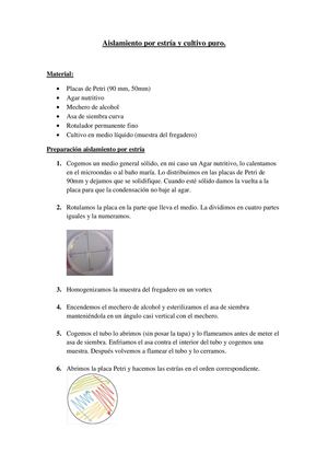 Aislamiento Por Estría Y Cultivo Puro