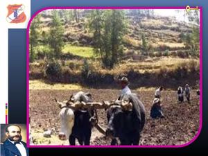 NARRATIVA ENTRE 1920 Y 1950