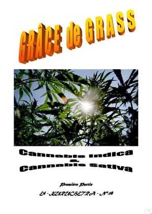 KURUCHETRA-Ek18 Grâce.Grass