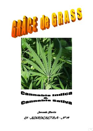 KURUCHETRA-Ek19 Grâce.Grass