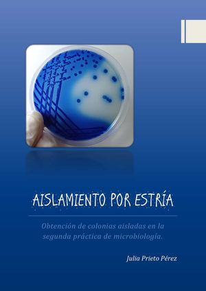 Aislamiento Por Estría